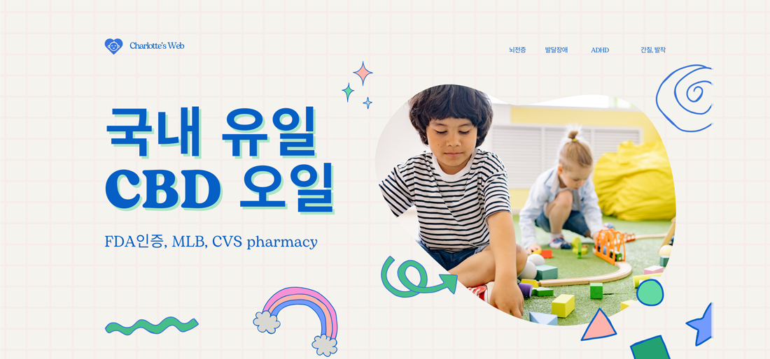 메인플레시