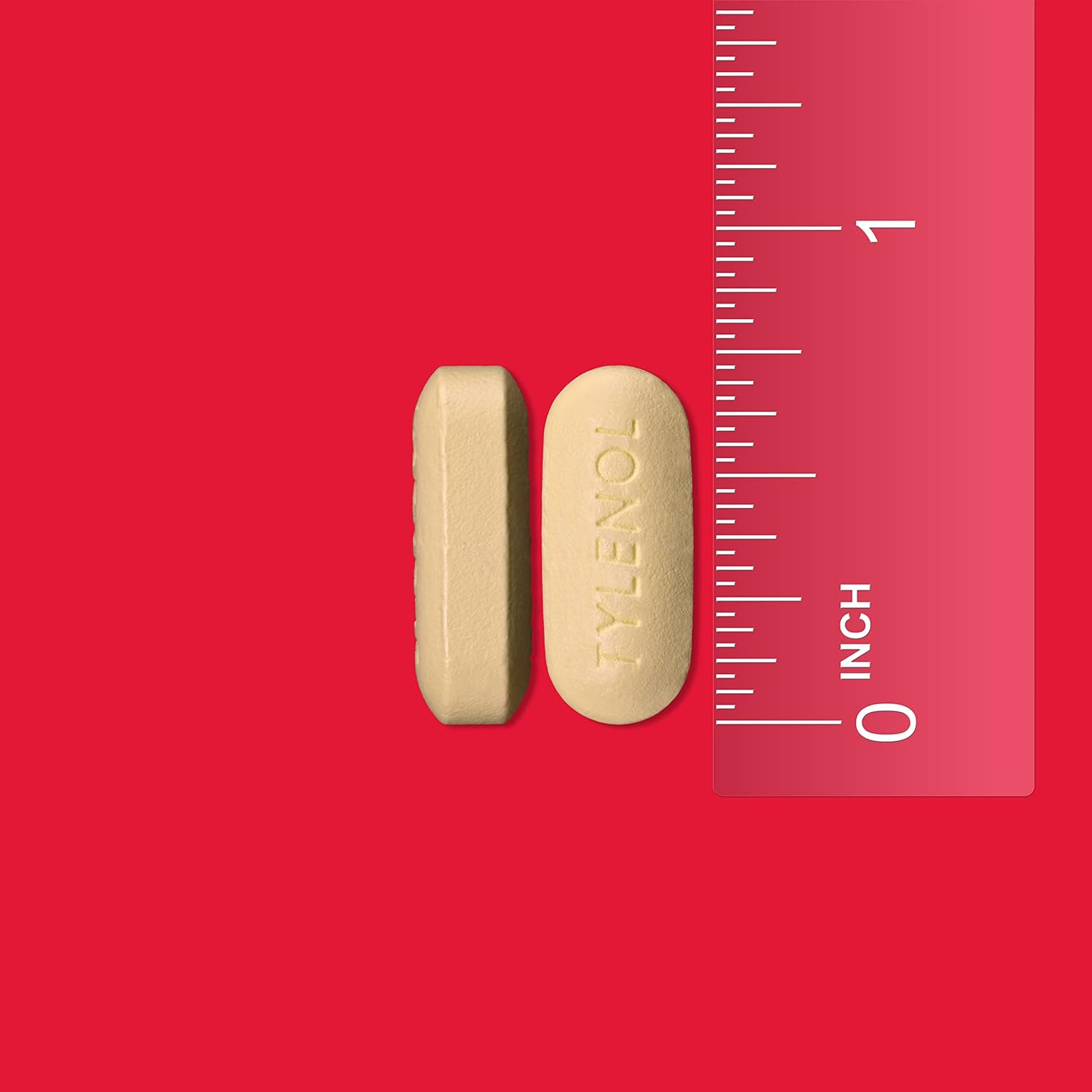 61zphcEFWZL._AC_SL1500_.jpg