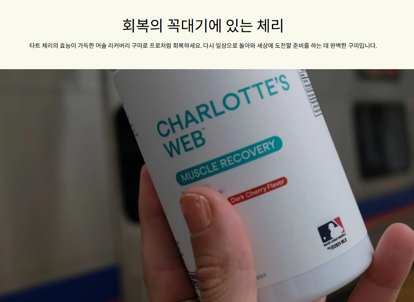 스크린샷 2025-05-10 021235.png