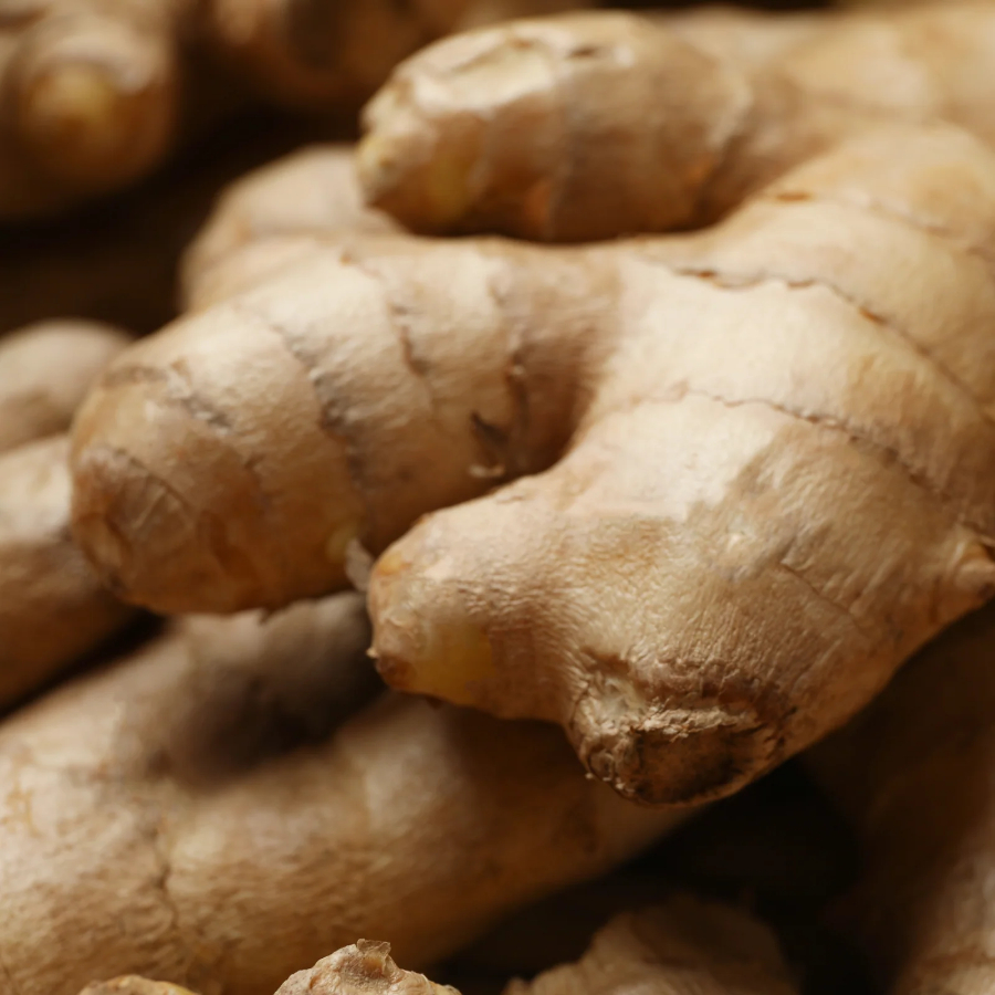 Fresh_Ginger_Root_Closeup_Texture_2048x2048.jpg